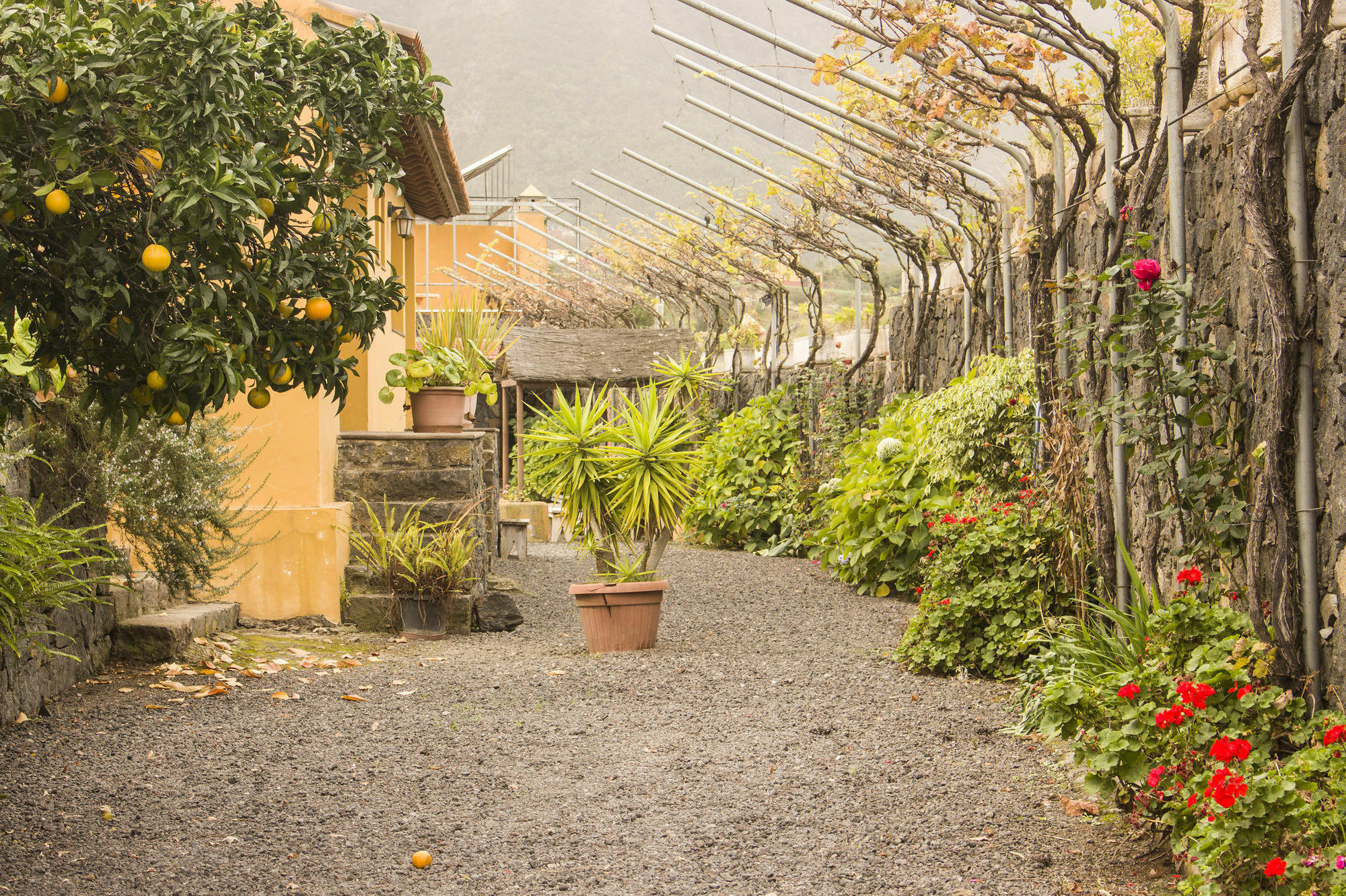 Casa Rural La Tanquera Los Realejos Exterior foto
